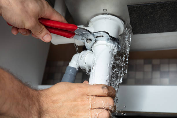 Best Carpet water damage restoration  in Sneads Ferry, NC