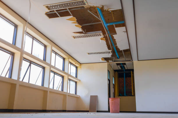 Best Commercial water damage restoration  in Sneads Ferry, NC