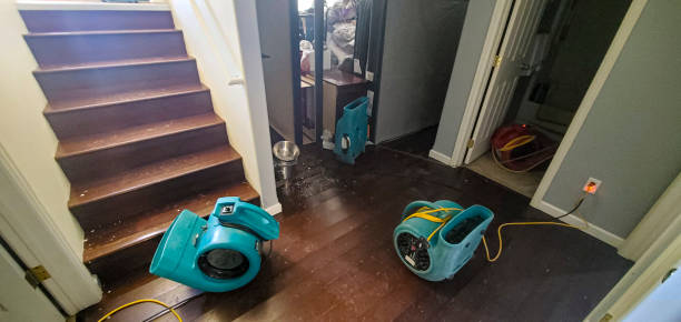 Best Sewage cleanup and water damage restoration  in Sneads Ferry, NC