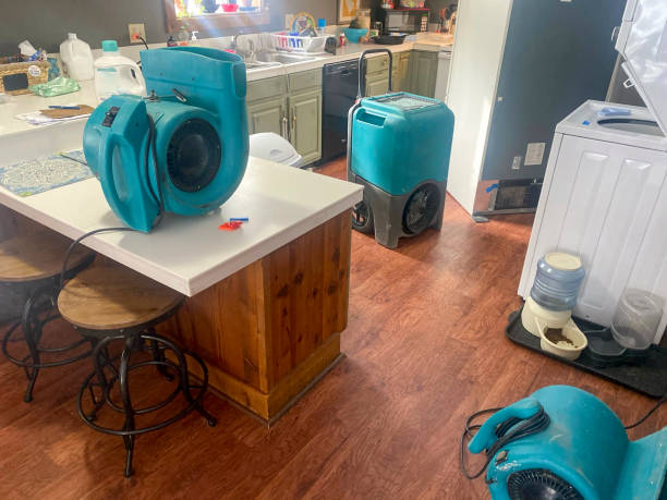 Best 24-hour water damage restoration  in Sneads Ferry, NC
