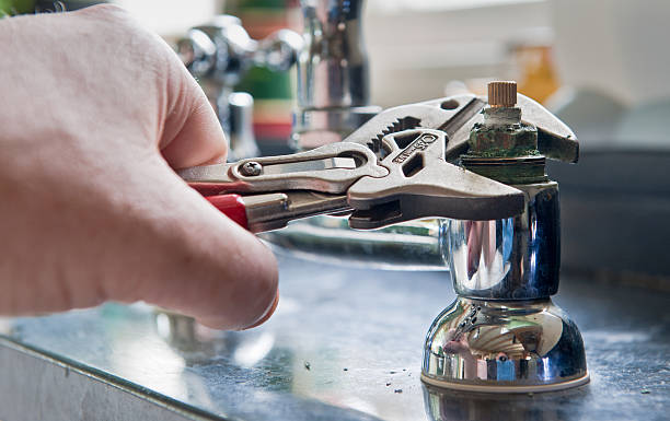 Best Water damage mitigation services  in Sneads Ferry, NC