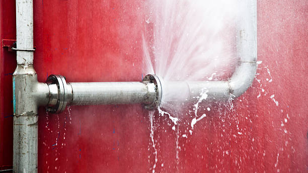 Best Basement water damage restoration  in Sneads Ferry, NC