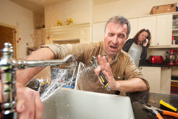 Best Water damage cleanup near me  in Sneads Ferry, NC